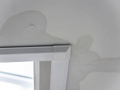 About Black Mold Removal Gardendale - black mold removal experts in Gardendale