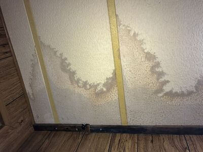 Professional black mold removal services in Gardendale - Black Mold Removal Gardendale